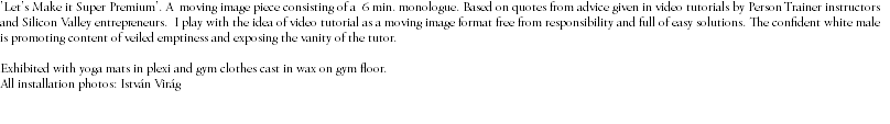 'Let's Make it Super Premium'. A moving image piece consisting of a 6 min. monologue. Based on quotes from advice given in video tutorials by Person Trainer instructors and Silicon Valley entrepreneurs. I play with the idea of video tutorial as a moving image format free from responsibility and full of easy solutions. The confident white male is promoting content of veiled emptiness and exposing the vanity of the tutor. Exhibited with yoga mats in plexi and gym clothes cast in wax on gym floor. All installation photos: István Virág